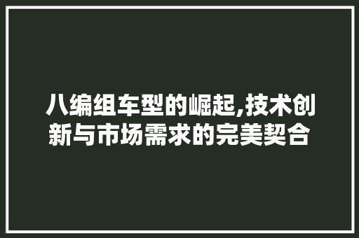 八编组车型的崛起,技术创新与市场需求的完美契合 车身配件