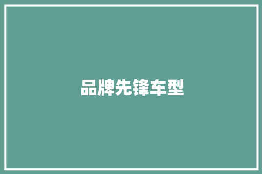 品牌先锋车型