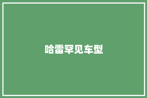 哈雷罕见车型