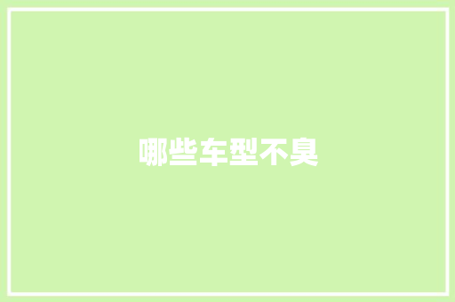 哪些车型不臭