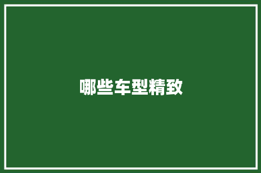 哪些车型精致