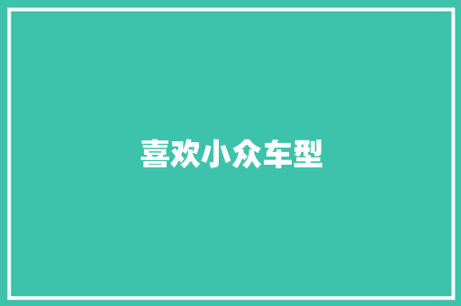 喜欢小众车型