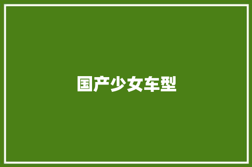 国产少女车型