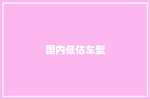 国内低估车型