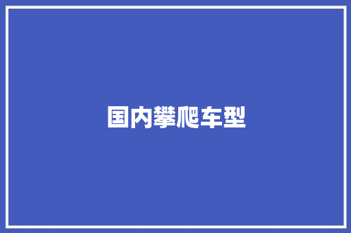 国内攀爬车型