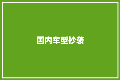 国内车型抄袭
