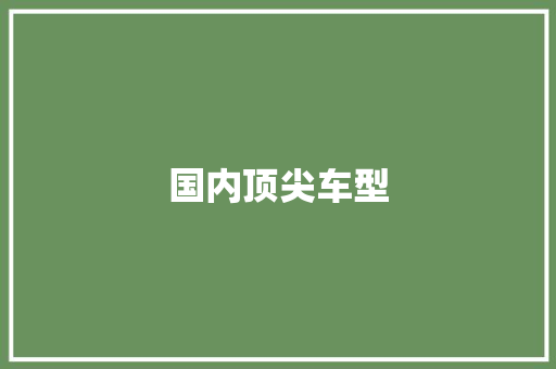 国内顶尖车型