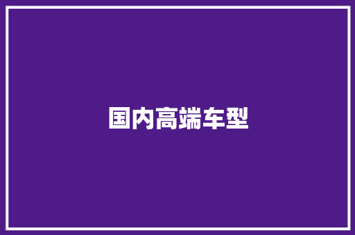 国内高端车型