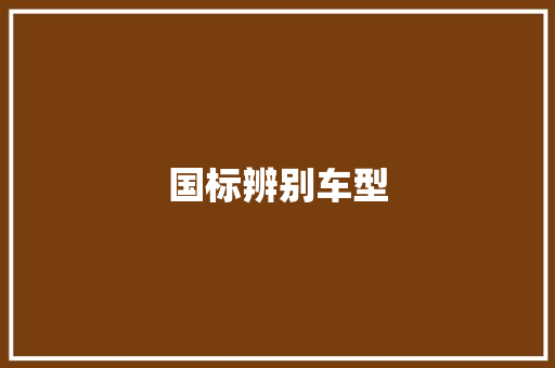 国标辨别车型