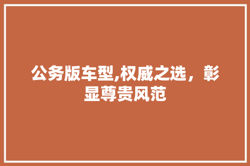 公务版车型,权威之选，彰显尊贵风范