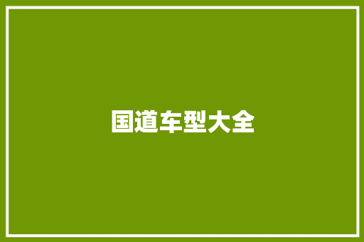 国道车型大全