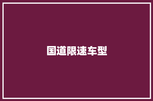 国道限速车型