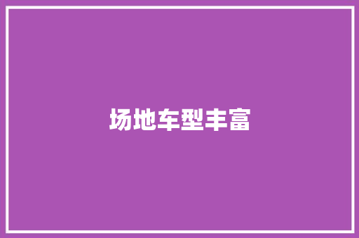 场地车型丰富