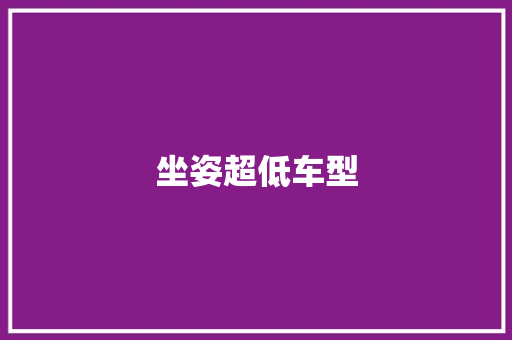 坐姿超低车型