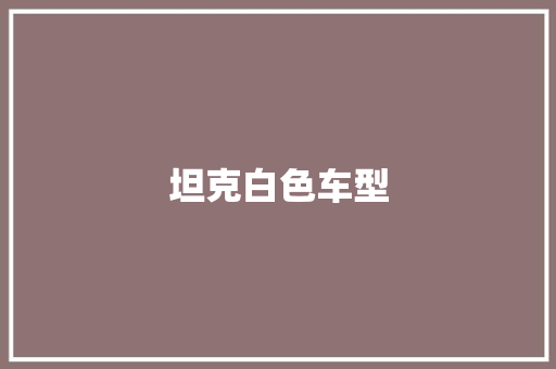 坦克白色车型