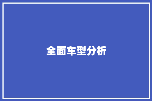 全面车型分析