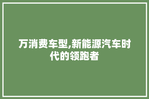 万消费车型,新能源汽车时代的领跑者