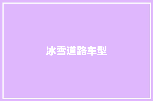冰雪道路车型