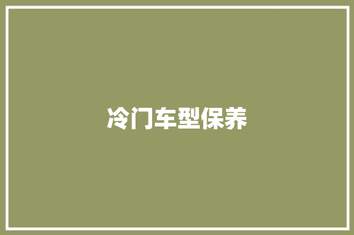 冷门车型保养