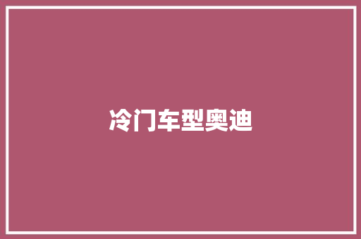 冷门车型奥迪