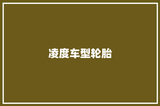 凌度车型轮胎