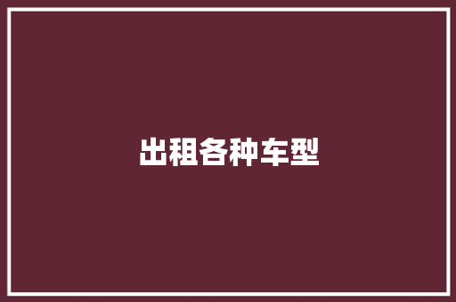 出租各种车型