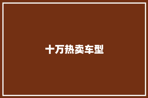十万热卖车型
