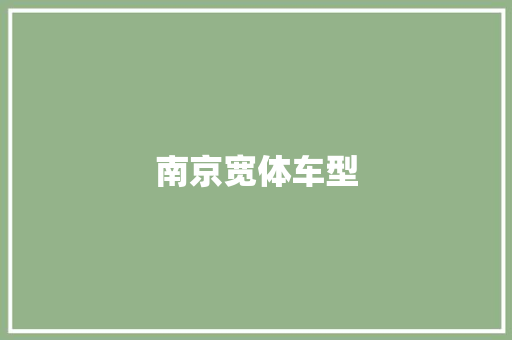 南京宽体车型