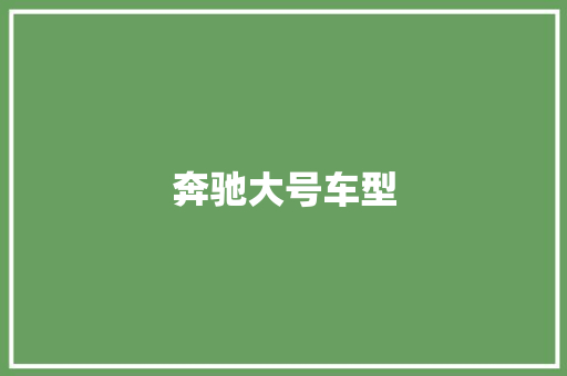 奔驰大号车型
