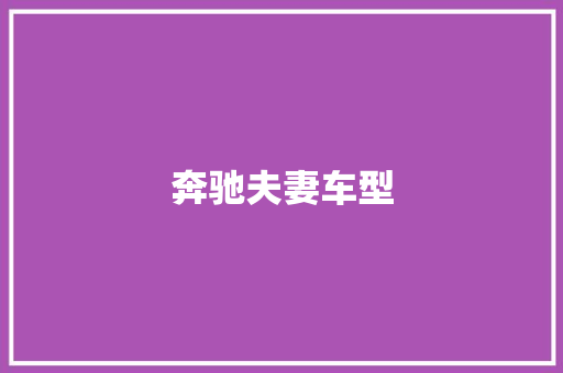 奔驰夫妻车型