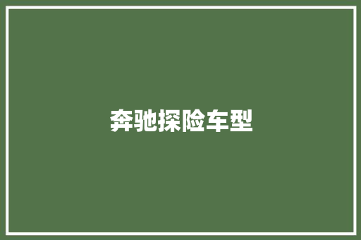 奔驰探险车型