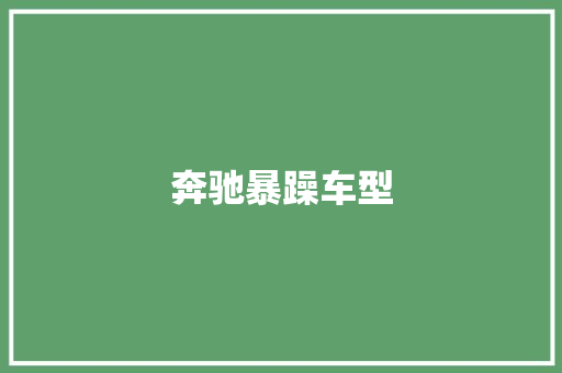 奔驰暴躁车型
