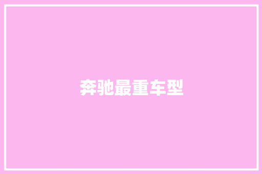 奔驰最重车型