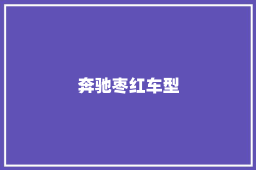 奔驰枣红车型