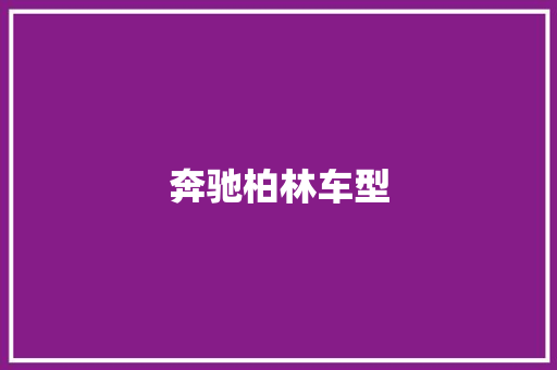 奔驰柏林车型