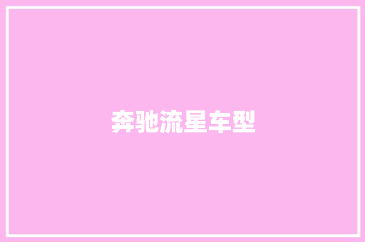奔驰流星车型