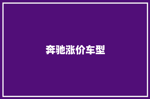 奔驰涨价车型