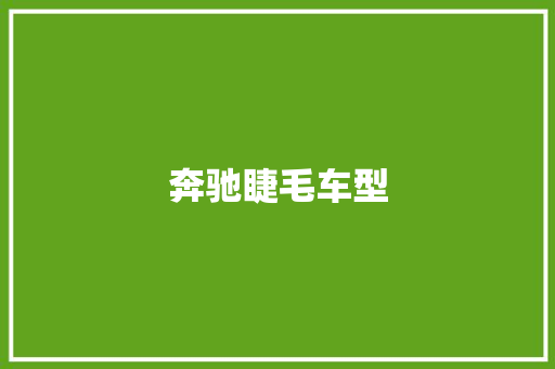 奔驰睫毛车型