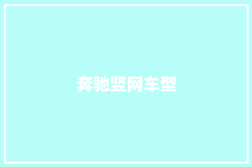 奔驰竖网车型