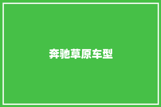 奔驰草原车型