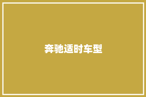 奔驰适时车型