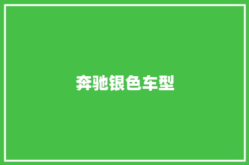 奔驰银色车型