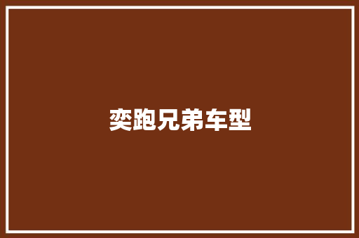 奕跑兄弟车型