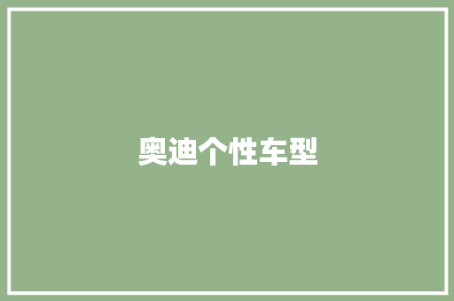 奥迪个性车型