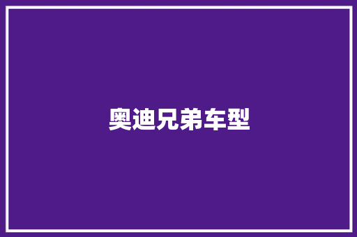 奥迪兄弟车型