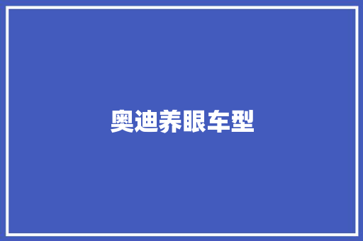 奥迪养眼车型