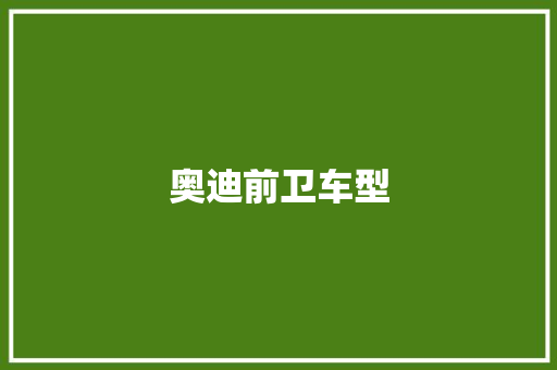 奥迪前卫车型