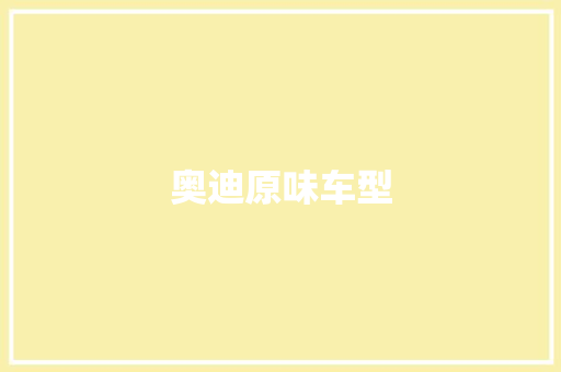 奥迪原味车型