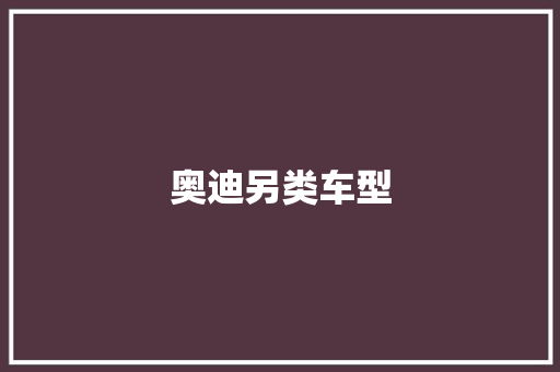 奥迪另类车型