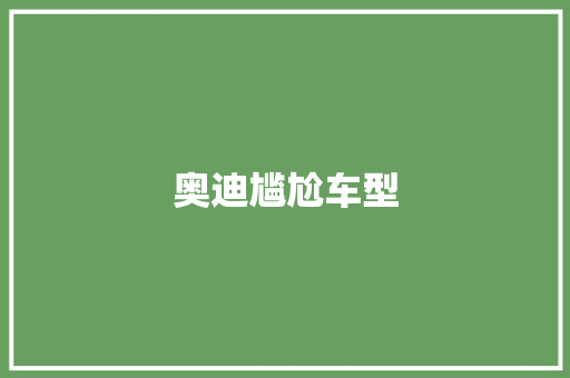 奥迪尴尬车型